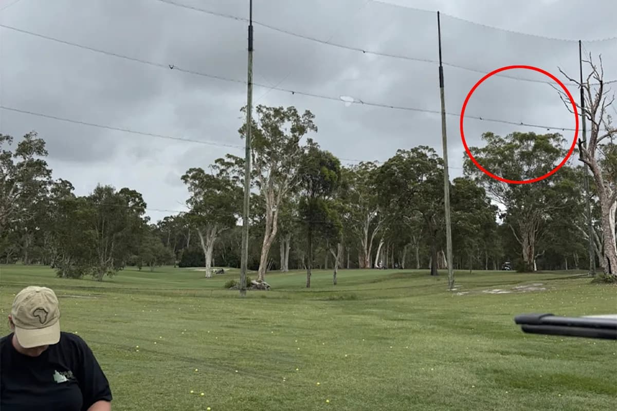 Queensland Golf Club Faces Wildlife Crisis After Netting Traps