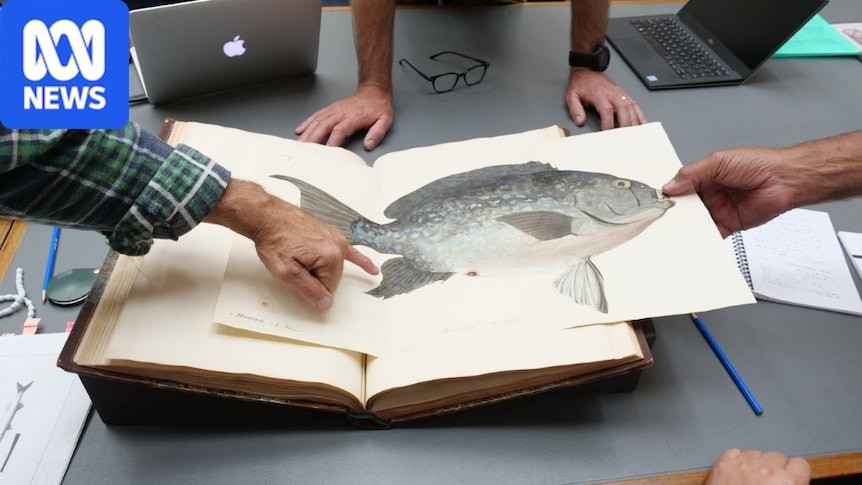 Global artefacts return home to Western Australia's south coast