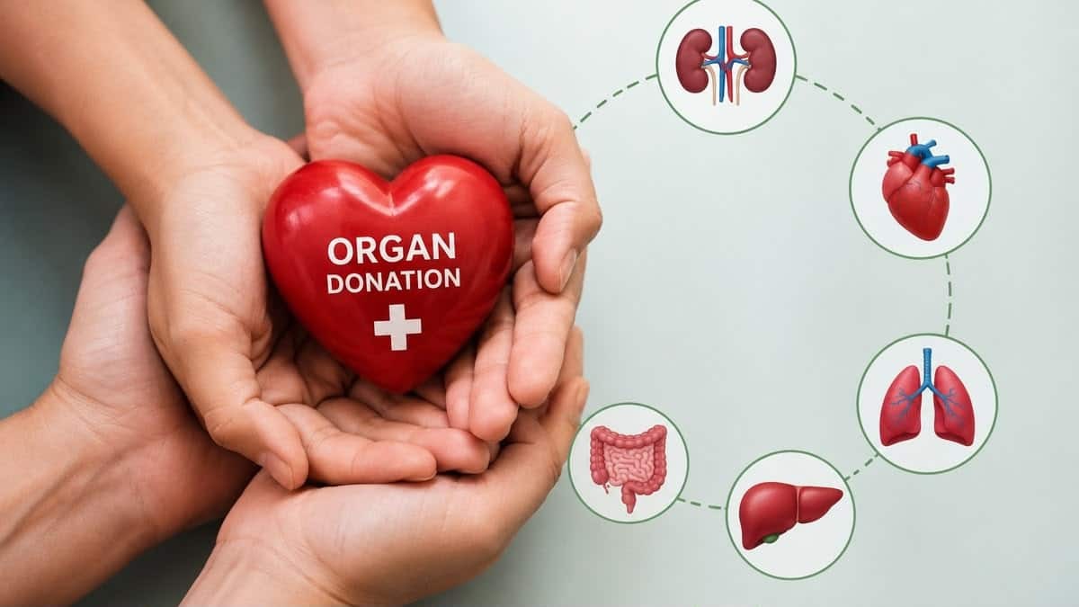 Organ donation myths persist. A transplant specialist sets the record straight