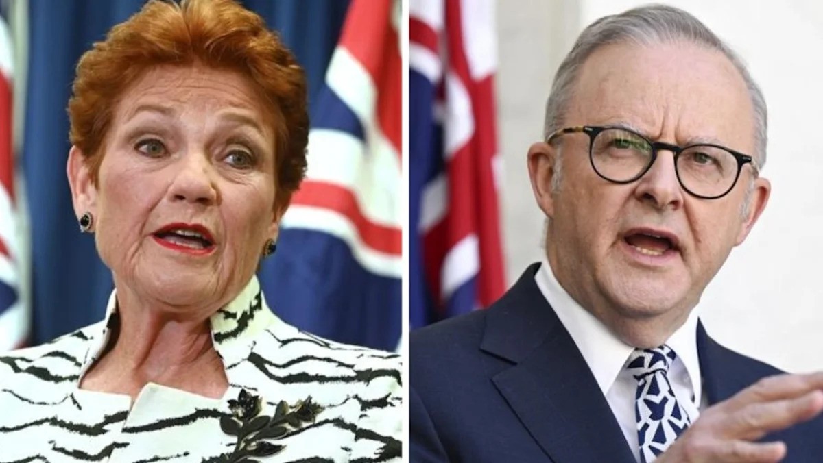 Albanese rebukes Hanson for ‘talking Australia down’ on overseas tour