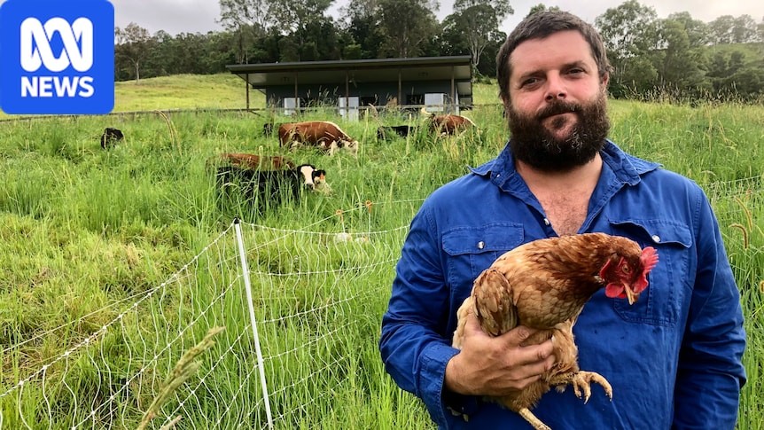 Queensland’s billion-dollar poultry industry on watch as bird flu reaches state