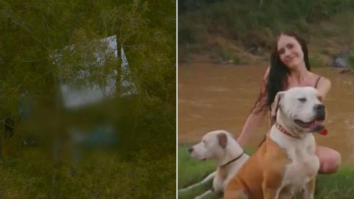 Brisbane Dog Attack Probe Uncovers Man's Body in Chermside Park